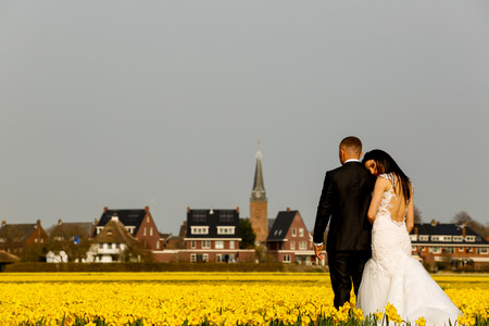 gorgeous wedding couple posing in yellow fieldの写真素材