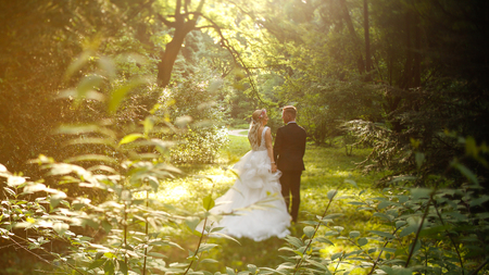 Beautiful Wedding couple posing in natureの写真素材