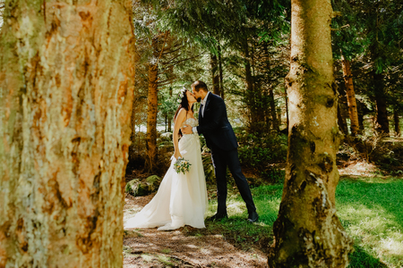 Beautiful wedding couple posing in forestの写真素材