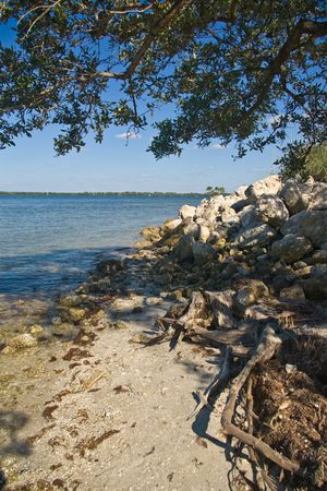 waterfront at Desoto Park on the Manatee River in Bradenton, Floridaの写真素材