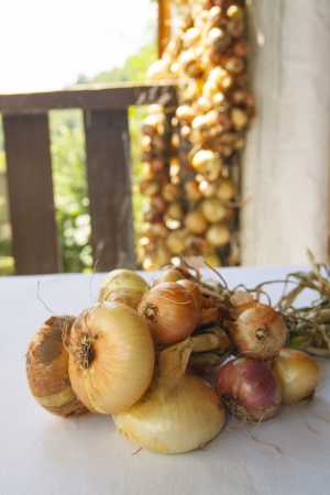 Onions on the tableの写真素材