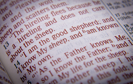 I am the good shepherd; and I know My sheep, and am known by My ownBible text from John 10:14, the Bible. Visual effects to emphasize the message. Macroの写真素材