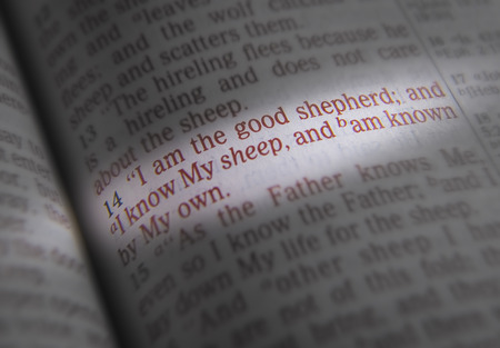 I am the good shepherd; and I know My sheep, and am known by My ownBible text from John 10:14, the Bible. Visual effects to emphasize the message. Macroの写真素材