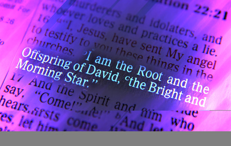 I am the Root and the Offspring of David, the Bright and Morning StarBible text from Revelation...
