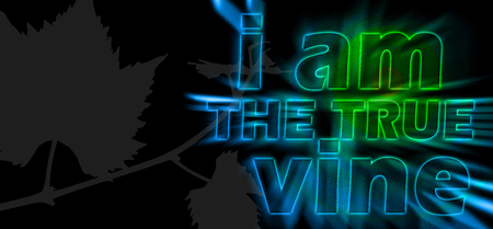I am the True Vine - the statement of Jesus with shining bursting effect on dark background - John 15:1の写真素材