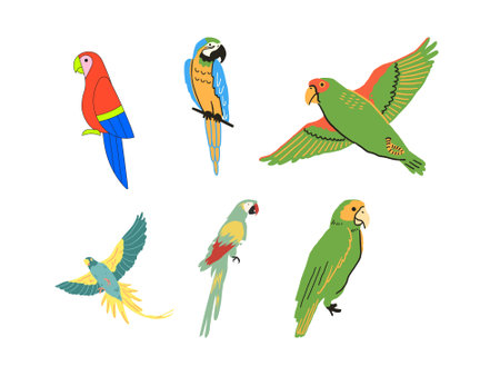 Parrots set. Colorful parrots isolated on white background. Vector illustration.のイラスト素材