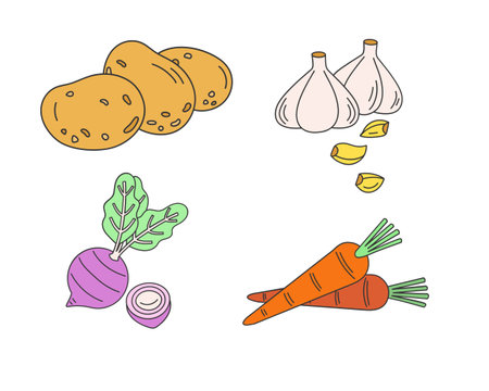 Vegetables set. Carrot, potato, onion,  and garlic. Vector illustrationのイラスト素材