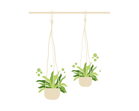 houseplants hanging isolated icon vector illustration designicon vector illustration designのイラスト素材