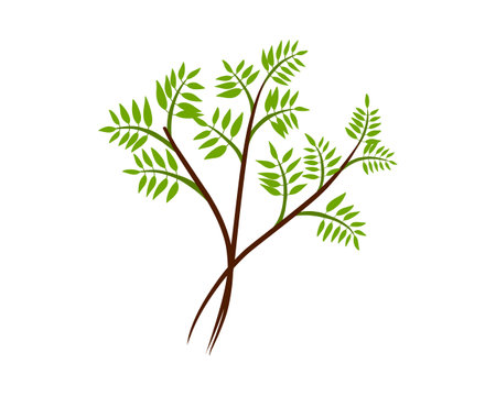 green leaves plant ecology icon. Isolated and flat illustration. Vector graphicのイラスト素材