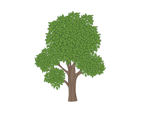 tree plant ecology isolated icon vector illustration designのイラスト素材