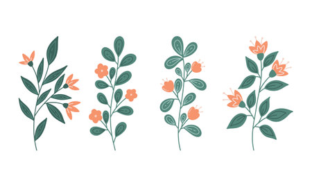 Set of floral elements. Vector illustration in doodle style.のイラスト素材