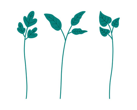 branch with leafs plants ecology icon vector illustration design iconのイラスト素材