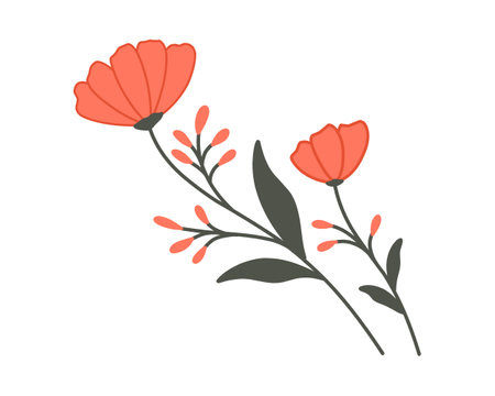 Hand drawn vector abstract floral illustration with poppies and leaves isolated on white backgroundのイラスト素材