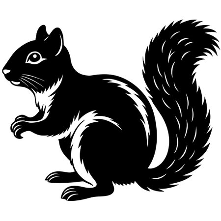 Squirrel - Black and White Vector Illustration - Isolated On White Backgroundのイラスト素材