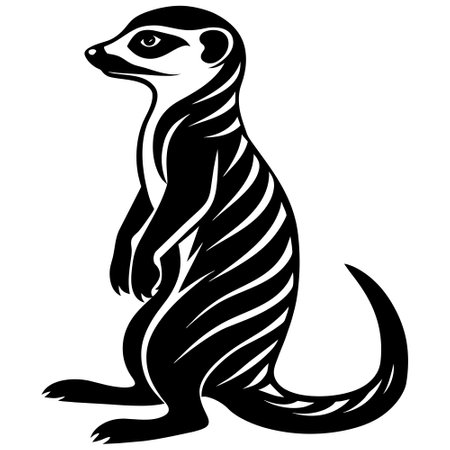 Meerkat.Vector illustration Isolated on white background.のイラスト素材