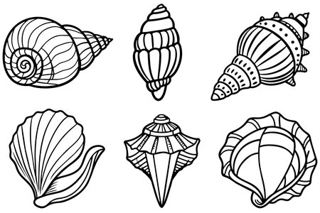 set of Seashells. Black and white vector illustration for coloring book.のイラスト素材