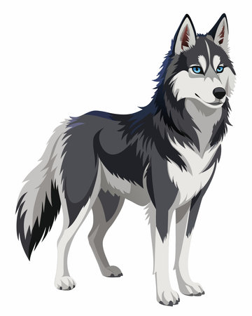 Siberian husky on a white background. Vector illustration.のイラスト素材