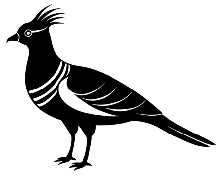 Pheasant bird silhouette isolated on white background. Vector illustration.のイラスト素材
