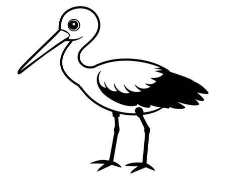 Stork - Black and White Cartoon Illustration of a Storkのイラスト素材