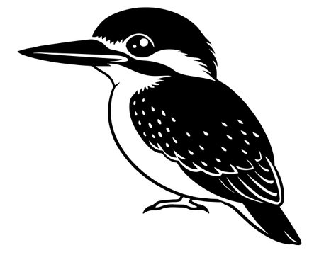 Kingfisher - Black and White Vector Illustration - Isolated on White Backgroundのイラスト素材