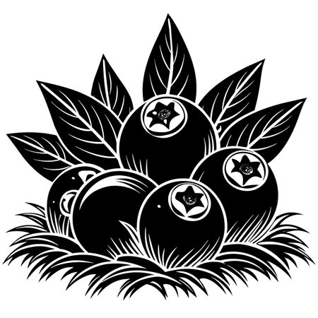 Black and white illustration of a bunch of blueberries with leaves.のイラスト素材