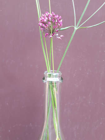 Wildflowers in a glass bottle. Place for text.の写真素材