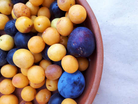 Yellow and blue plums in a ceramic plate on a wooden table background.