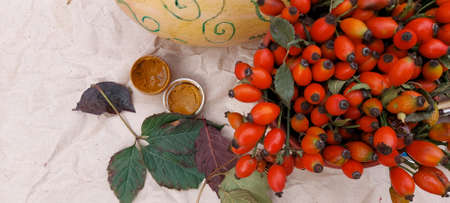 Two large pumpkins painted with watercolors, a tube of paint, brushes and rosehip berries. Autumn still life.の写真素材