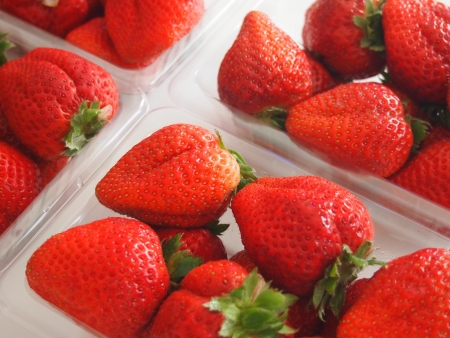 strawberriesの写真素材