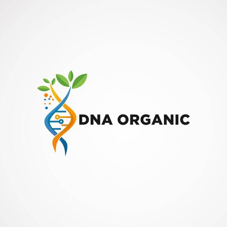 DNA organic logo vector concept, icon, element, and template for companyのイラスト素材
