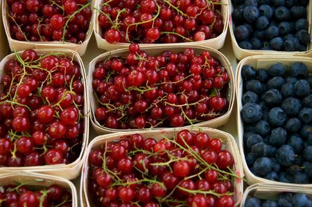 Red currants and blueberries in containersの写真素材