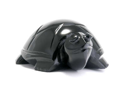 Black stone turtleの写真素材