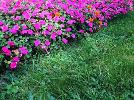 Green city lifeの素材