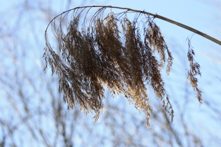 Solitudeの写真素材