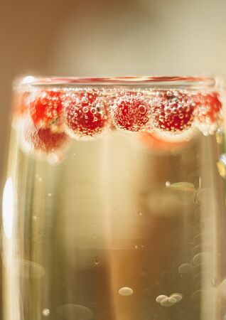 Sparkle wine in glass with red currant berriesの写真素材