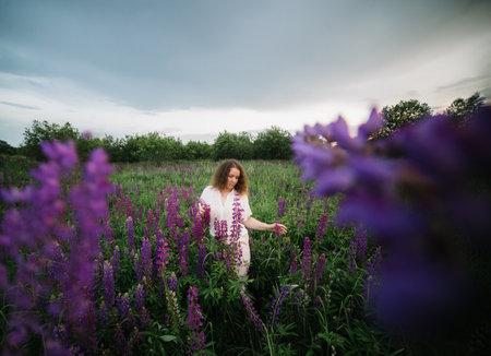 Young woman stands in white shirt in field of purple and pink lupins. Beautiful young woman with curly hair outdoors on a meadow, lupins blossom. Sunset or sunrise, bright evening light.の写真素材