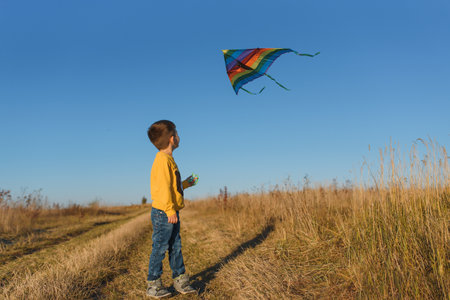 Little boy playing with kite on meadow. Childhood conceptの写真素材
