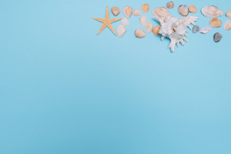 flat lay. top view. Frame of shells of various kinds on a blue background. Seashells and starfish on...