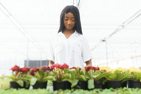Beautiful young smiling african american girl, worker with flowers in greenhouse. Concept work in the greenhouse, flowers.の写真素材