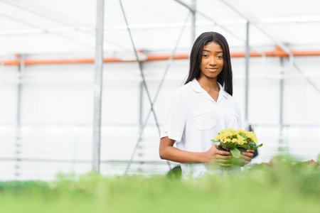 Beautiful young smiling african american girl, worker with flowers in greenhouse. Concept work in...