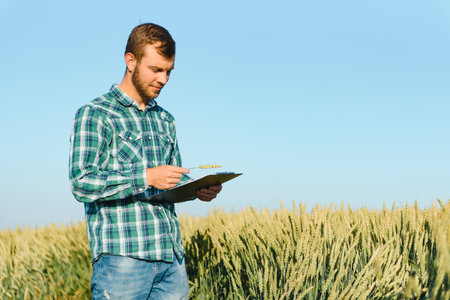 Happy young farmer or agronomist inspecting wheat plants in a field before the harvest. Checking seed development and looking for parasites with magnifying glass. Organic farming and food productionの写真素材