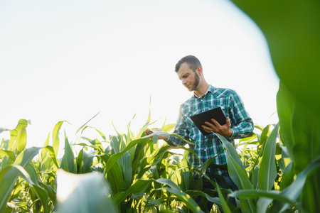 Happy young farmer or agronomist using tablet in corn field. Irrigation system in the background....