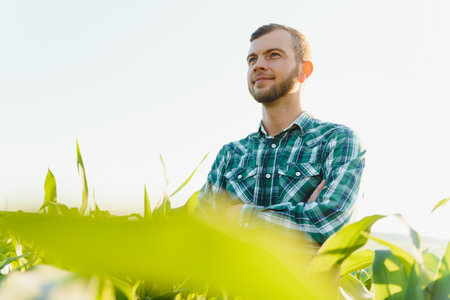 young farmer inspects a field of green corn. agricultural industry.
