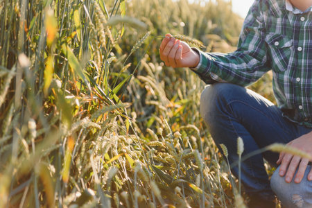 Happy young farmer or agronomist inspecting wheat plants in a field before the harvest. Checking...