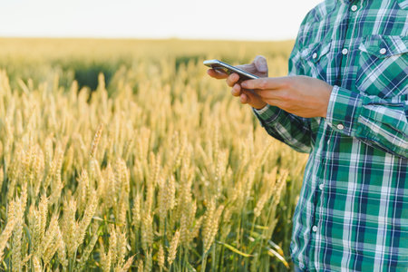 Happy mature technician checking the growth of the wheat for a quality control in a cereal field in...