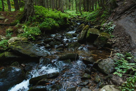 Mountain stream in green forest at spring time