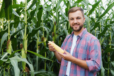 Agronomist holds tablet touch pad computer in the corn field and examining crops before harvesting. Agribusiness concept. brazil farm.の写真素材
