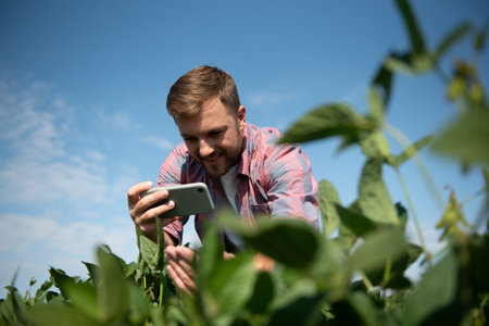 Farmer taking pictures of soybean plantation. quality control. Agronomist's work. Brazilian Farm.
