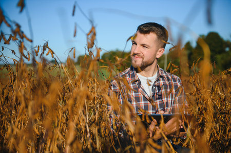 Agronomist inspecting soya bean crops growing in the farm field. agriculture production concept....