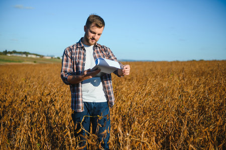 Agronomist inspecting soya bean crops growing in the farm field. agriculture production concept. young agronomist examines soybean crop on field in summer. Farmer on soybean fieldの写真素材